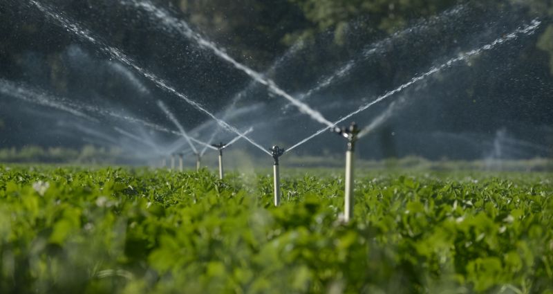 Automated Irrigation Systems