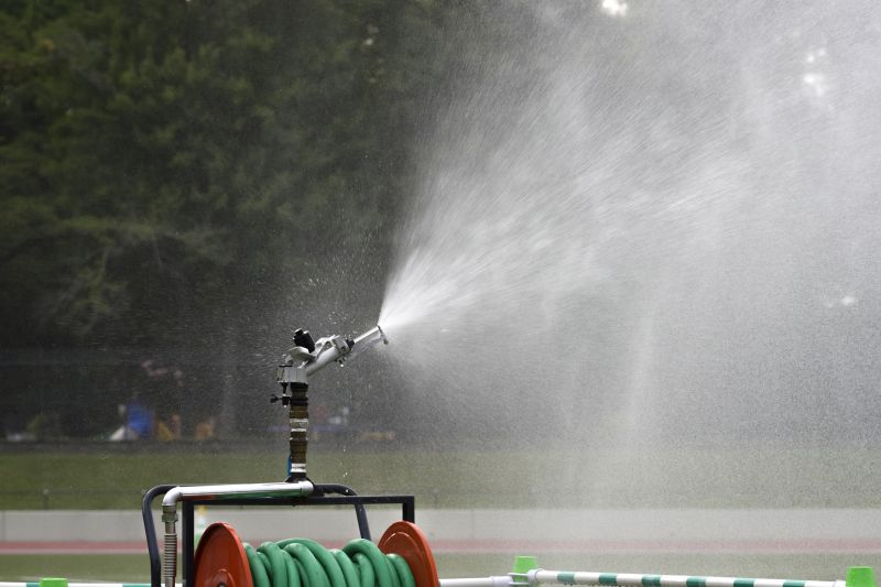 Professional System Testing